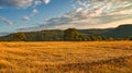 A sunny day in the Saarland with a view over meadows into the valley. Field in the foreground Royalty Free Stock Photo