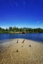 Sahara Lommel Lake Royalty Free Stock Photo