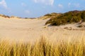 Sunny Day on Sandy Dunes in The Hague, Netherlands: Amazing Sand Dunes of Europe