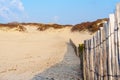 Sunny Day on Sandy Dunes in The Hague, Netherlands: Amazing Sand Dunes of Europe