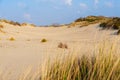 Sunny Day on Sandy Dunes in The Hague, Netherlands: Amazing Sand Dunes of Europe