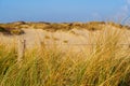 Sunny Day on Sandy Dunes in The Hague, Netherlands: Amazing Sand Dunes of Europe