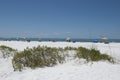 Sunny day at Sarasota beach. People in the distance enjoying the beach