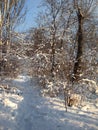 Sunny day after snowfall, trail in snowdrifts