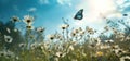 sunny day sunny sky blue butterfly is flying over a field of daisies Royalty Free Stock Photo