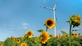 Sunny day sustainability: wind turbines at work amongst sunflowers for clean energy Royalty Free Stock Photo