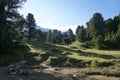 Sunny day in Swiss mountain valley with creek