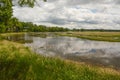 A Sunny Day in the Wetlands