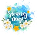 Sunny days background Royalty Free Stock Photo