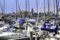 Sunny days at the crowded marina Royalty Free Stock Photo