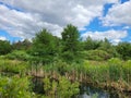 Sunny Days at Strasburg Creek