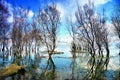 Sunny days under natural scenery, lakes, trees