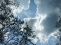 Sunny Dayz in the Field under the rainy clouds Royalty Free Stock Photo