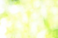 Sunny defocused color nature background, abstract bokeh effect es element for your design Royalty Free Stock Photo