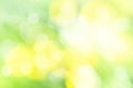 Sunny defocused green nature background, abstract bokeh effect es element for your design Royalty Free Stock Photo