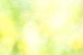 Sunny defocused green nature background, abstract bokeh effect es element for your design Royalty Free Stock Photo