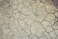 Sunny dried cracked earth soil ground texture background. Top view. Global warming and drought concept Royalty Free Stock Photo