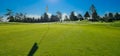 Sunny early morning on a golf course Royalty Free Stock Photo