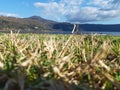 A sunny early spring day at the lake of Castel Gandolfo