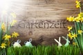 Sunny Easter Decoration, Gras, Gartenzeit Means Garden Time Royalty Free Stock Photo