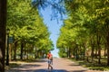 Sunny exterior view of the campus of University of Arkansas Royalty Free Stock Photo