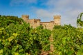 Sunny exterior view of the Castello di Amorosa winery Royalty Free Stock Photo