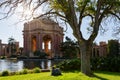 Sunny exterior view of the Palace of Fine Arts