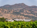 Sunny exterior view of the Silver Oak Napa Valley Royalty Free Stock Photo