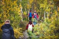 Sunny fall autumn view of Abisko National Park, Kiruna Municipality, Lapland, Norrbotten County, Sweden, with Abiskojokk river,