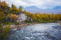 Sunny fall autumn view of Abisko National Park, Kiruna Municipality, Lapland, Norrbotten County, Sweden, with Abiskojokk river,