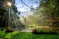 sunny and foggy morning on the small lake