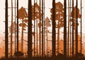 Sunny forest background. Vector illustration of woods in forest in sunlight background. Isolated Royalty Free Stock Photo