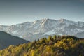 Sunny forest below snowy Wettersteinwand wall Bavaria Germany