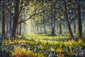 Sunny forest wood trees Original oil painting Royalty Free Stock Photo