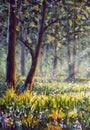 Sunny forest wood trees Original oil painting. Flowers in sun summer spring park Royalty Free Stock Photo