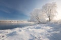 Sunny Frosty Winter Morning. A Realistic Winter Belarusian Landscape With Blue Sky, Trees Covered With Thick Frost, A Small River Royalty Free Stock Photo