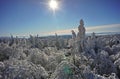 Sunny and frosty winter views - shining sun over a frozen forest landscape