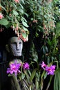 Sunny garden in Singapore with a traditional tribal mask hidden behind leaves and purple flowers Royalty Free Stock Photo