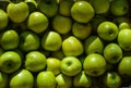 Sunny Granny Smith - Green apples Royalty Free Stock Photo