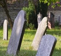 Sunny graveyard in England Royalty Free Stock Photo