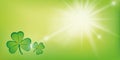 Sunny green background with shamrock clover