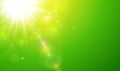 Sunny green natural background, blurry with sun and lens flare