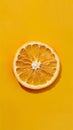 Sunny imagery orange slice evokes the warmth of sunlight Royalty Free Stock Photo