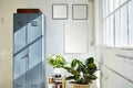 Sunny industrial loft vintage furniture flowers and white bricks