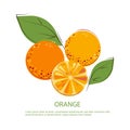 Sunny juicy oranges with green leafs. Composition of whole and cut oranges.