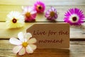 Sunny Label Life Quote Live For The Moment With Cosmea Blossoms Royalty Free Stock Photo