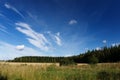 Sunny landscape of a meadow Royalty Free Stock Photo