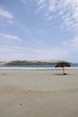 Sunny landscape of a Peruvian beach in Ancash Region