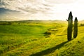 Sunny landscape during early summertime, Toscany, Italy