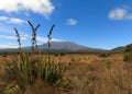 Sunny Landscape Whitout People. Mountain Bathed in Sunlight. Autumn Meadow. Royalty Free Stock Photo